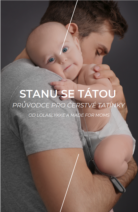 Stanu se tátou - Průvodce pro čerstvé tatínky